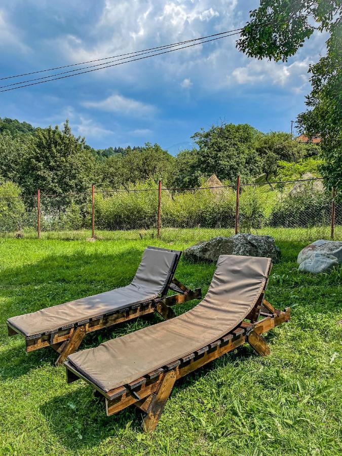 Transylvania Mountain View Cdi Bran  Ngoại thất bức ảnh