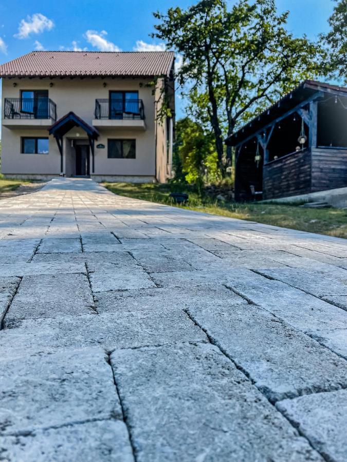 Transylvania Mountain View Cdi Bran  Ngoại thất bức ảnh